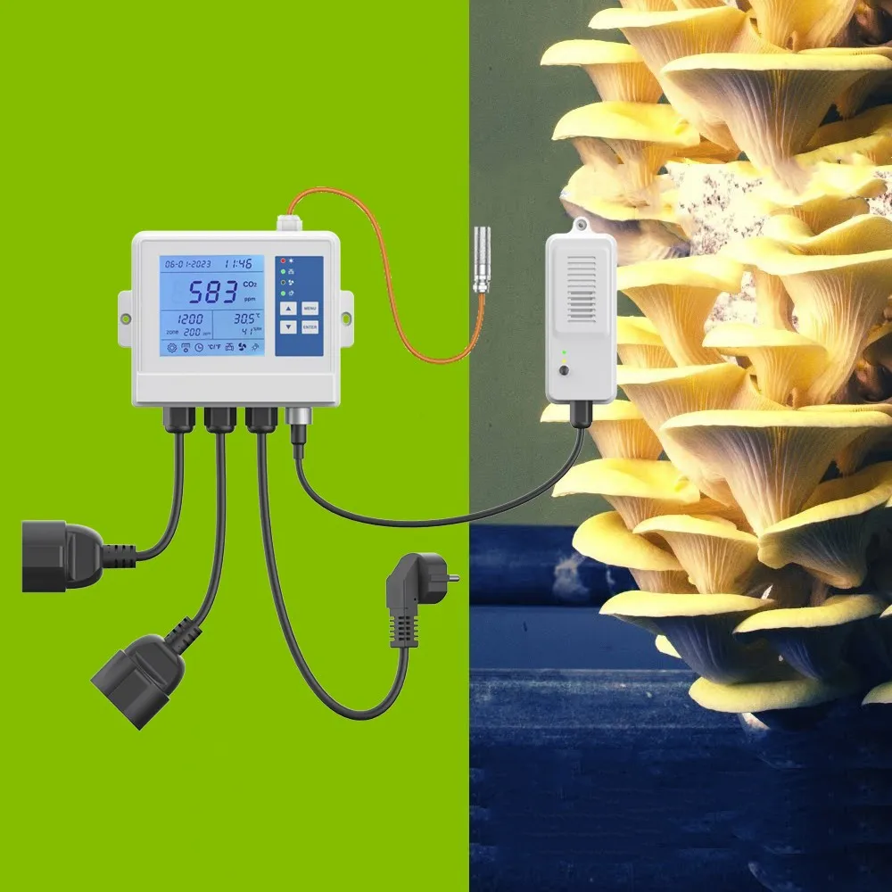 Hydroponic System - Hidroponik Yetiştirme Odası Nem ve CO2