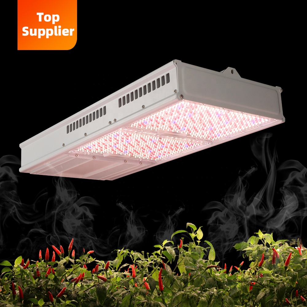Led Grow Light - Uygun Maliyetli 600W 800W Toplight Tam