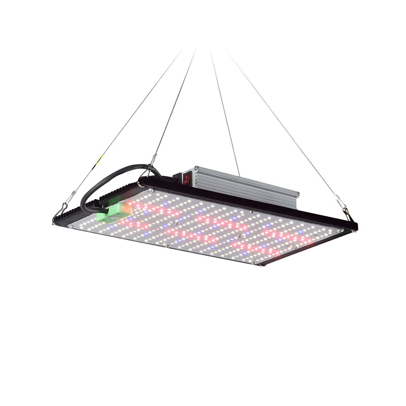Led Grow Light - LED Kuantum Panel Bitki Yetiştirme Lambası