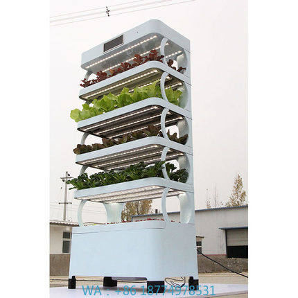 Hydroponic System - Evde Hidroponik Yetiştirme Sistemleri Yeni Gelen