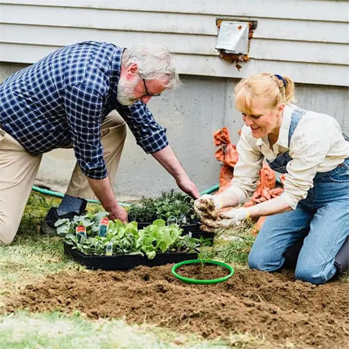 Gardening Tools Big - Büyük İndirim 4 Adet Bitki Koruma