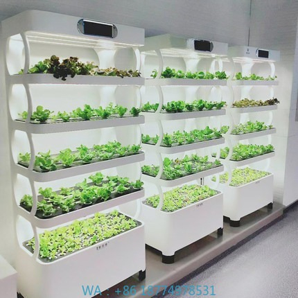 Hydroponic System - Hidroponik Otomatik Yetiştirme Sistemi Akıllı Hidroponik