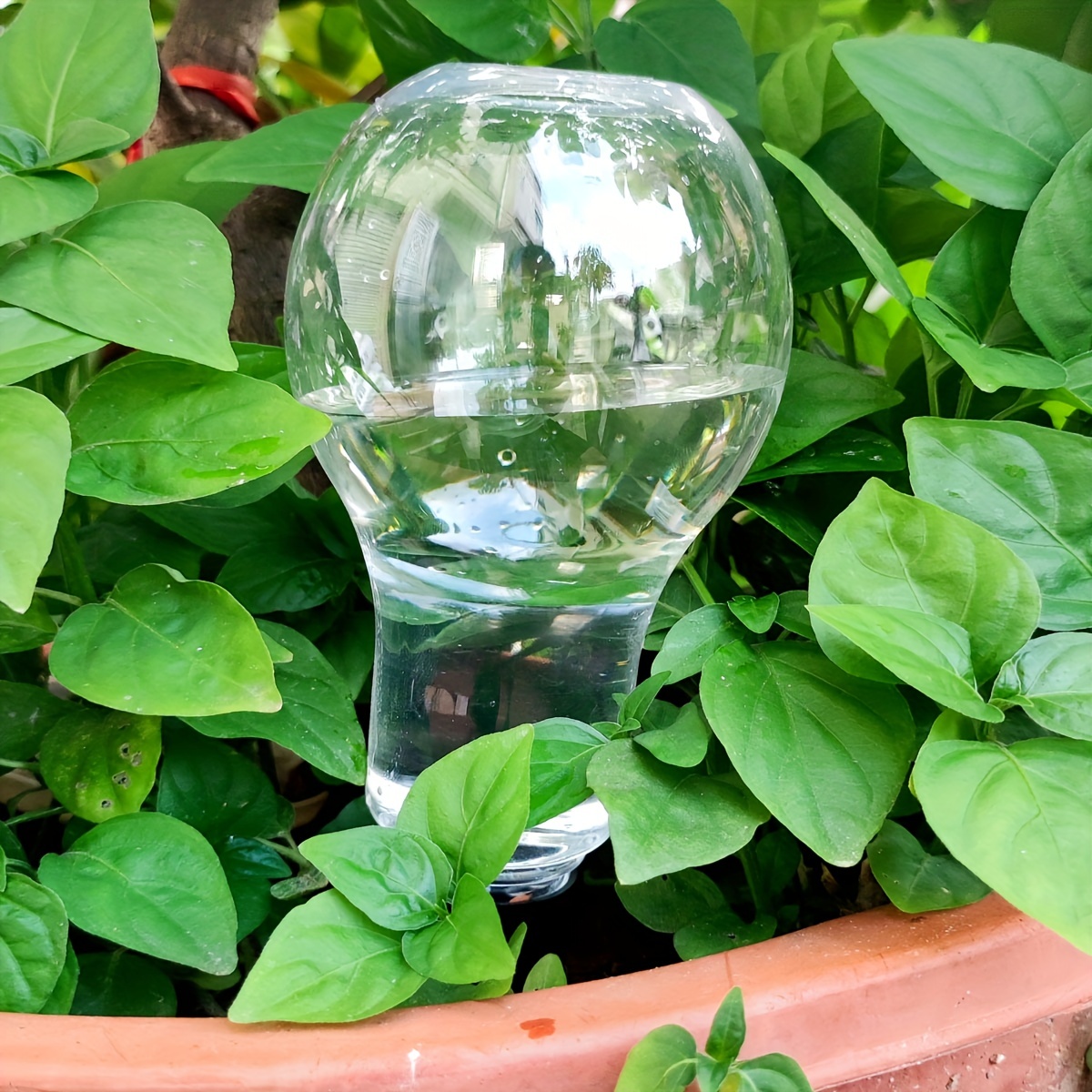 Bahçe otomatik sulama aracı ka - Gardening Tools Water incelemesi ve fiyatı