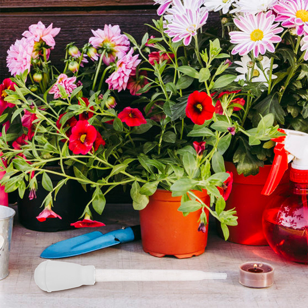 3 Adet Saksı Su Emici Tepsi, S - Gardening Tools Water incelemesi ve fiyatı