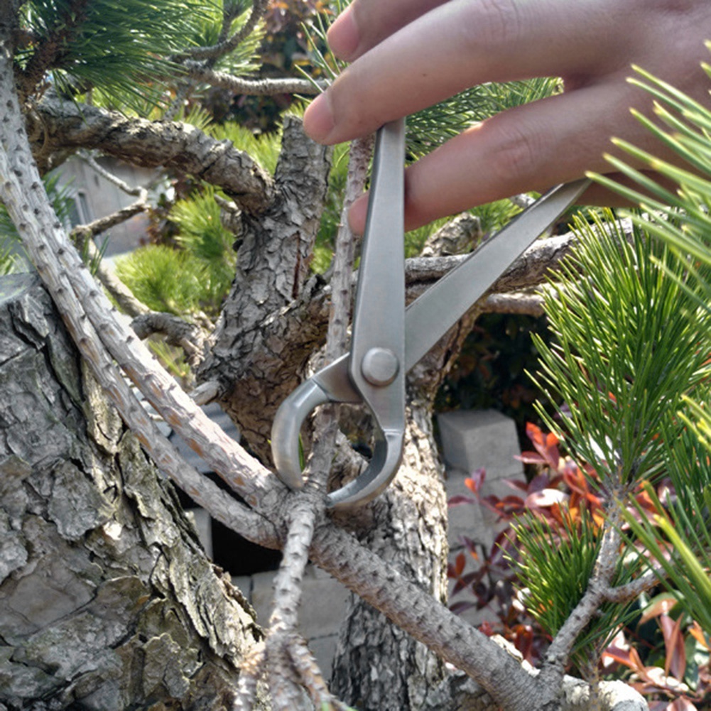 180mm Paslanmaz Çelik Topuzlu  - Gardening Tools Cutter incelemesi ve fiyatı