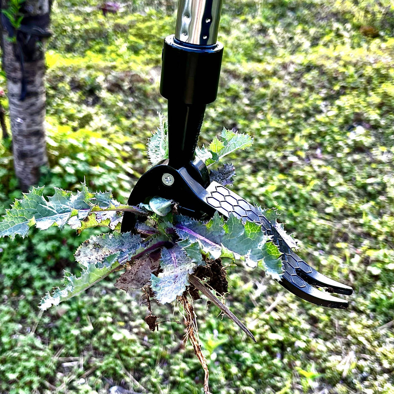 İşgücü Tasarrufu El Metal Ot Ç - Gardening Tools Needed incelemesi ve fiyatı