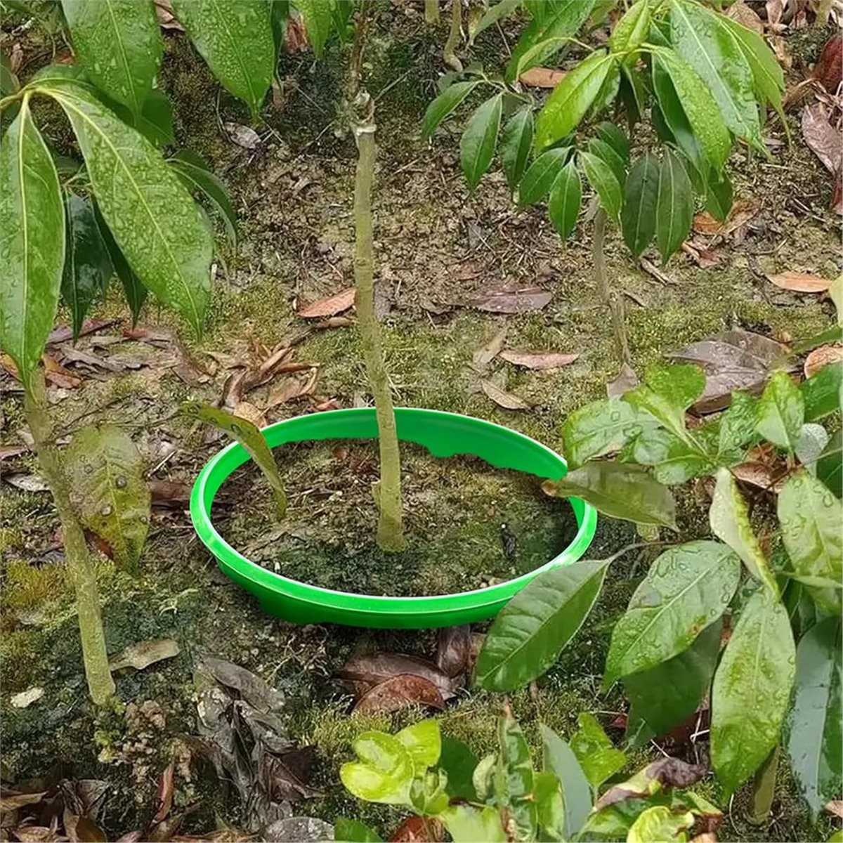 Büyük İndirim 4 Adet Bitki Kor - Gardening Tools Big incelemesi ve fiyatı