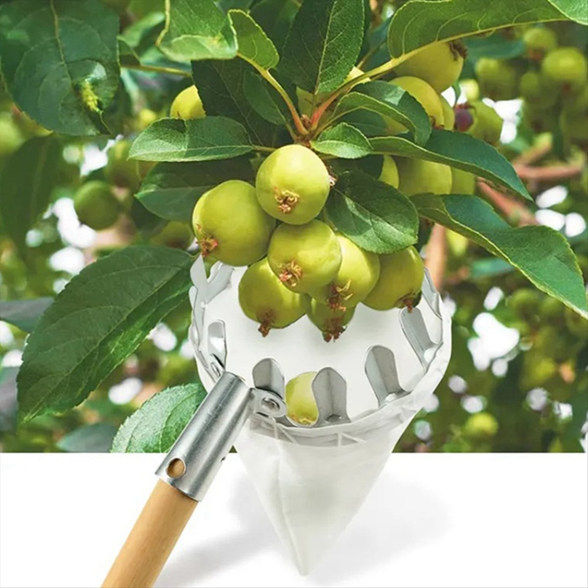 【İndirimli Satış】Metal Meyve T - Gardening Tools For Sale incelemesi ve fiyatı